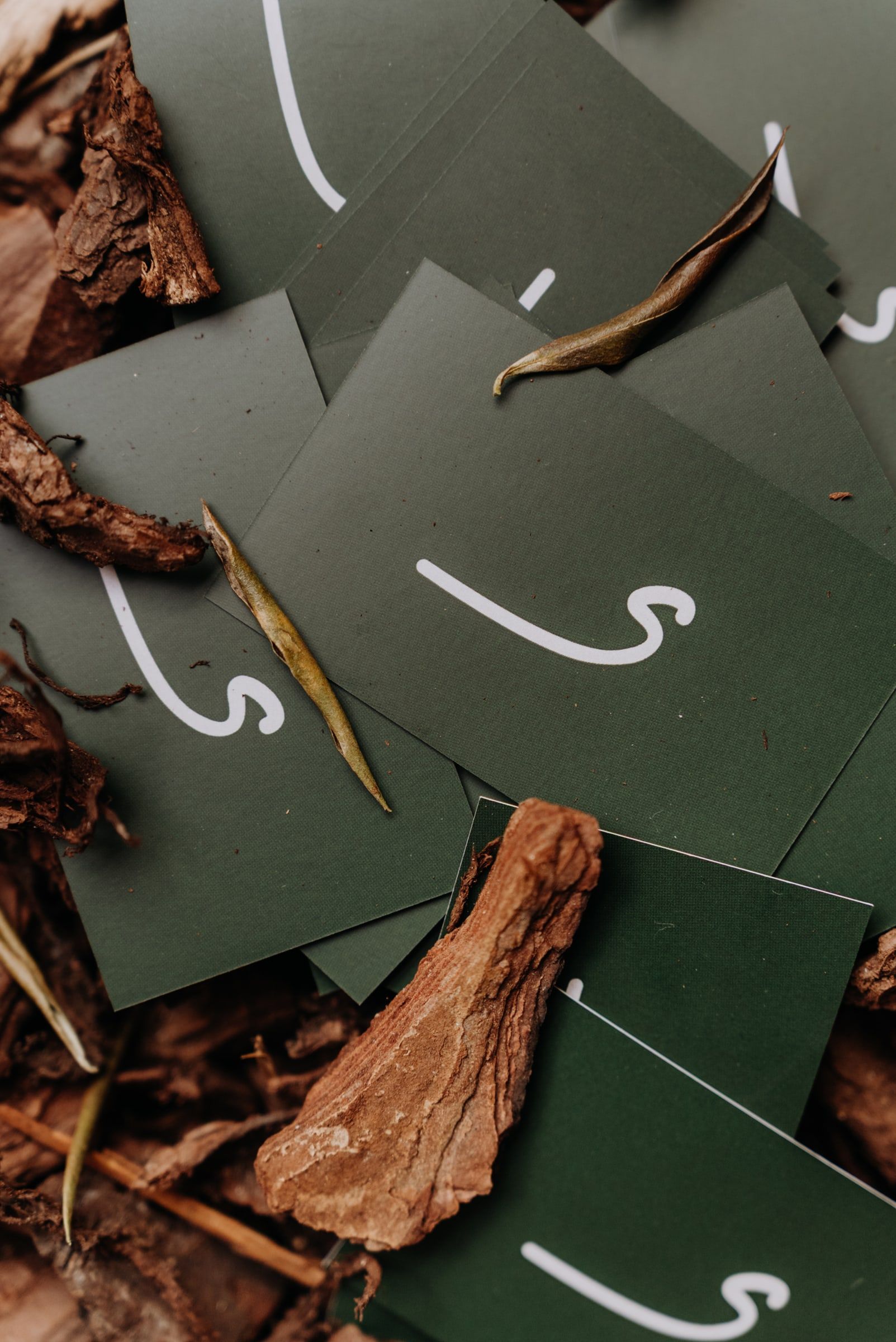 Green cards with the S