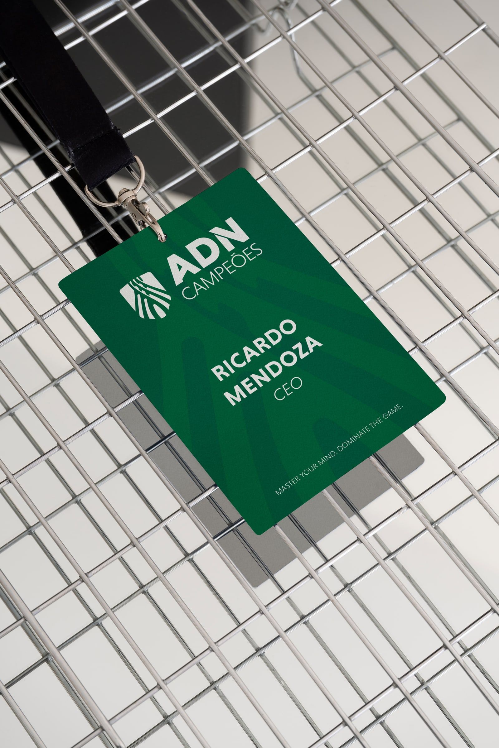 ADN Campeões credential.