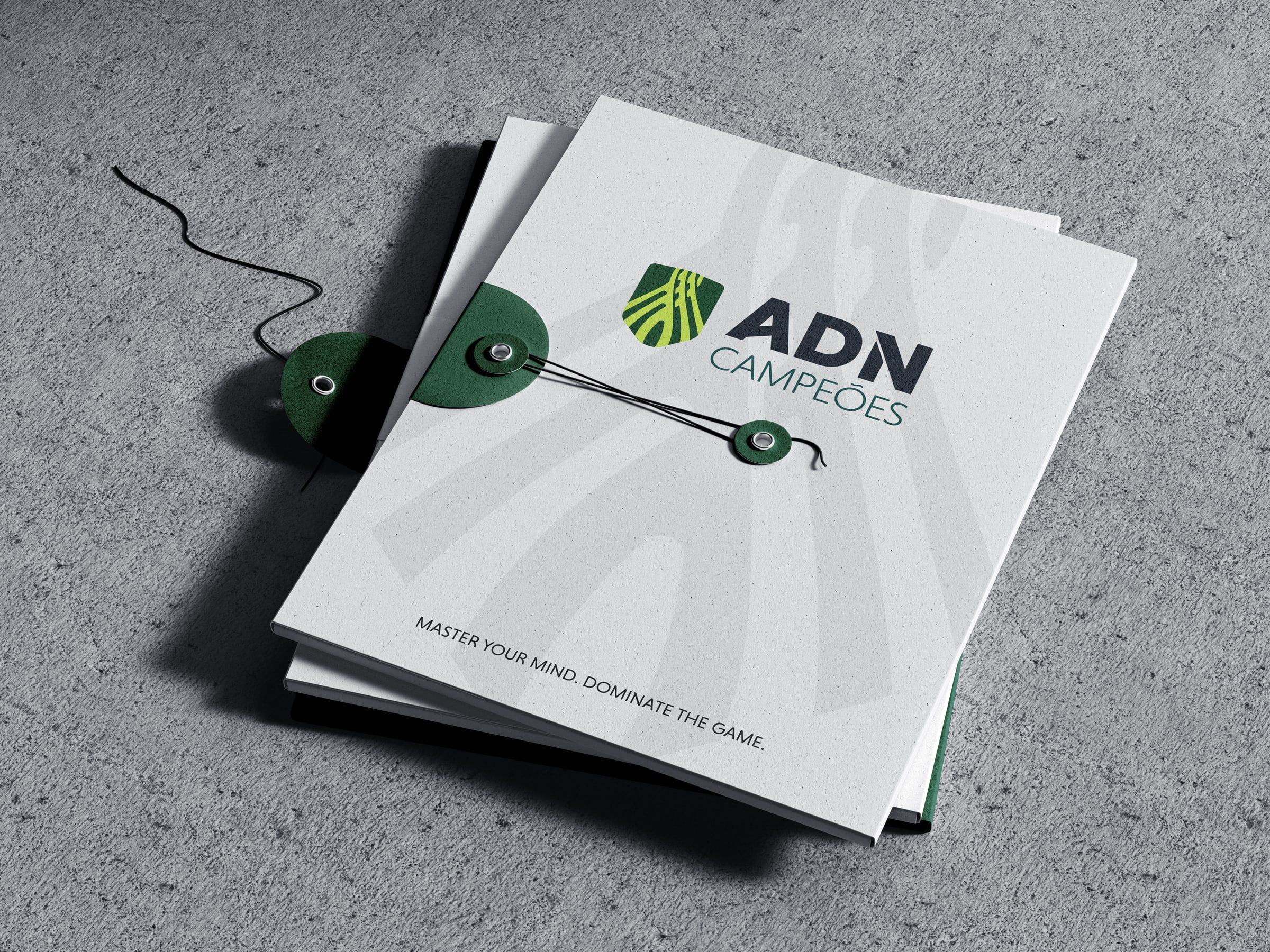 Institutional folders with the logo.